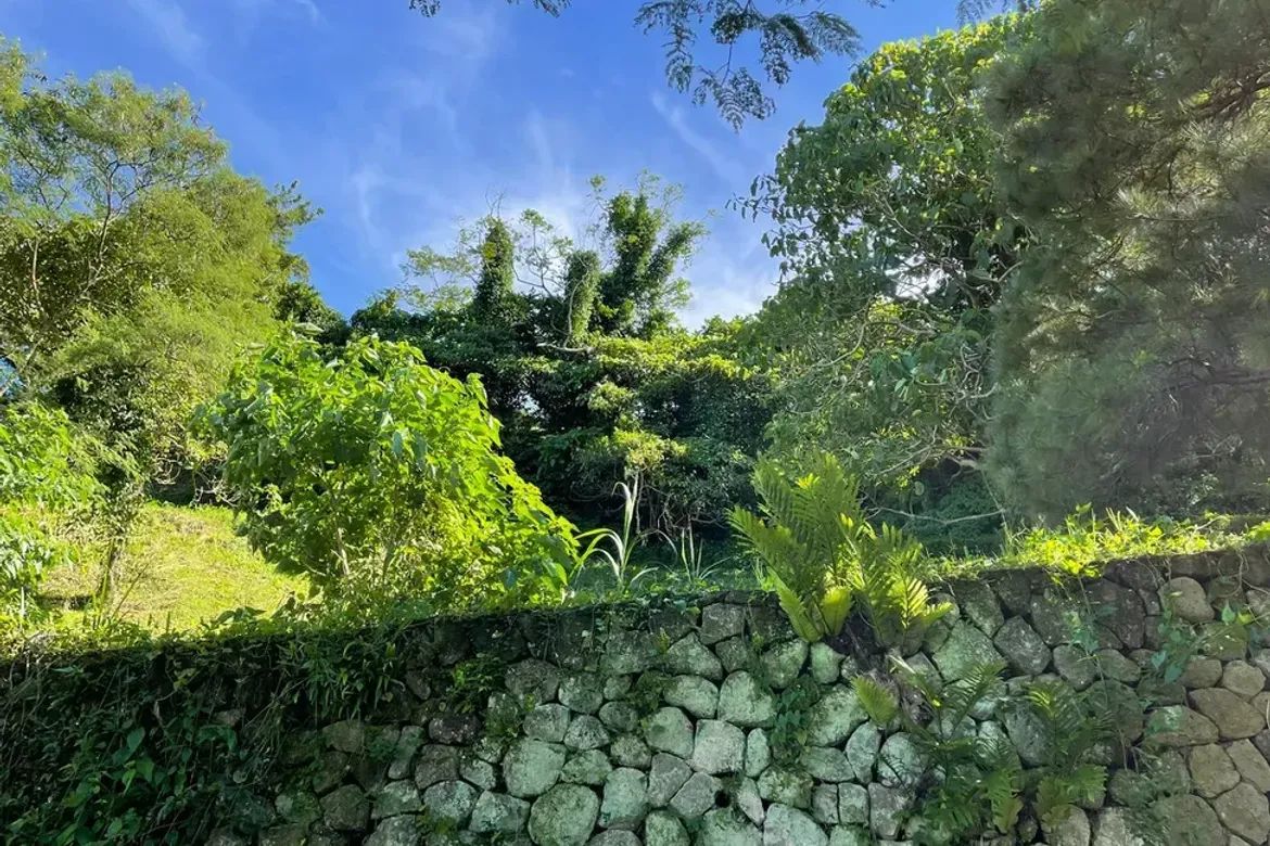 Land for Sale in Paliparan, Laurel, Batangas – photo 5