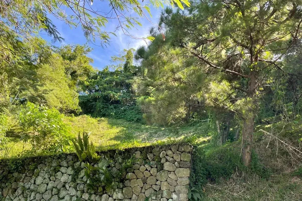 Land for Sale in Paliparan, Laurel, Batangas – photo 6