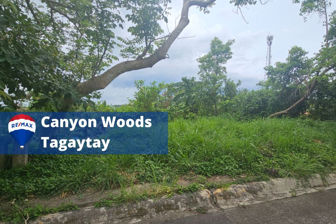 Land for Sale in Paliparan, Laurel, Batangas