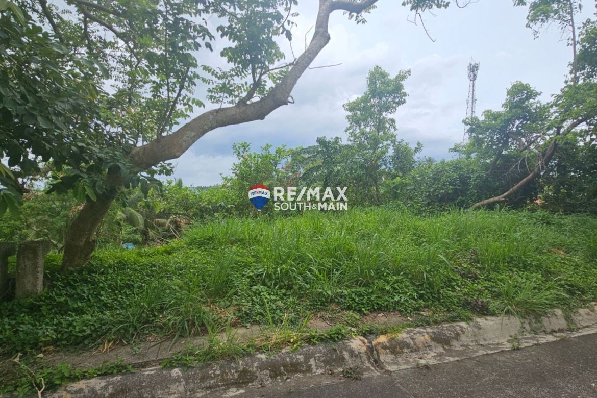 Land for Sale in Paliparan, Laurel, Batangas – photo 2