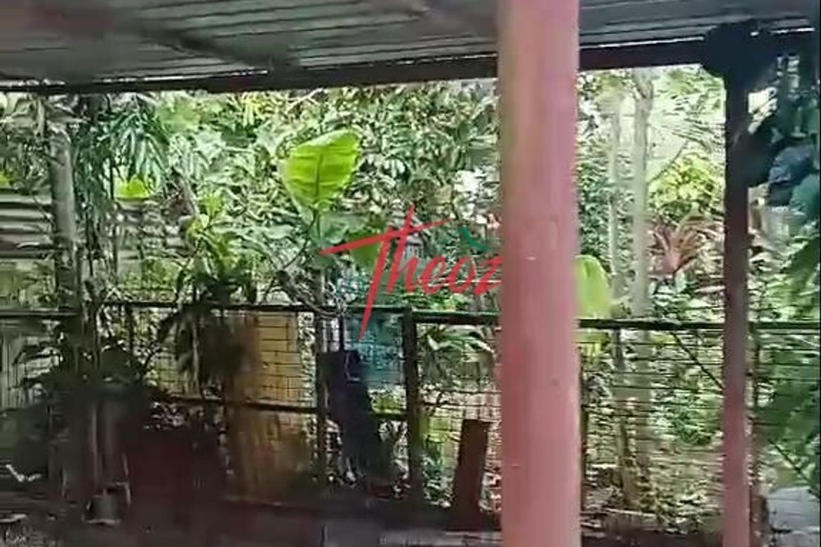 Land for Sale in Palo-Alto, Calamba, Laguna – photo 8
