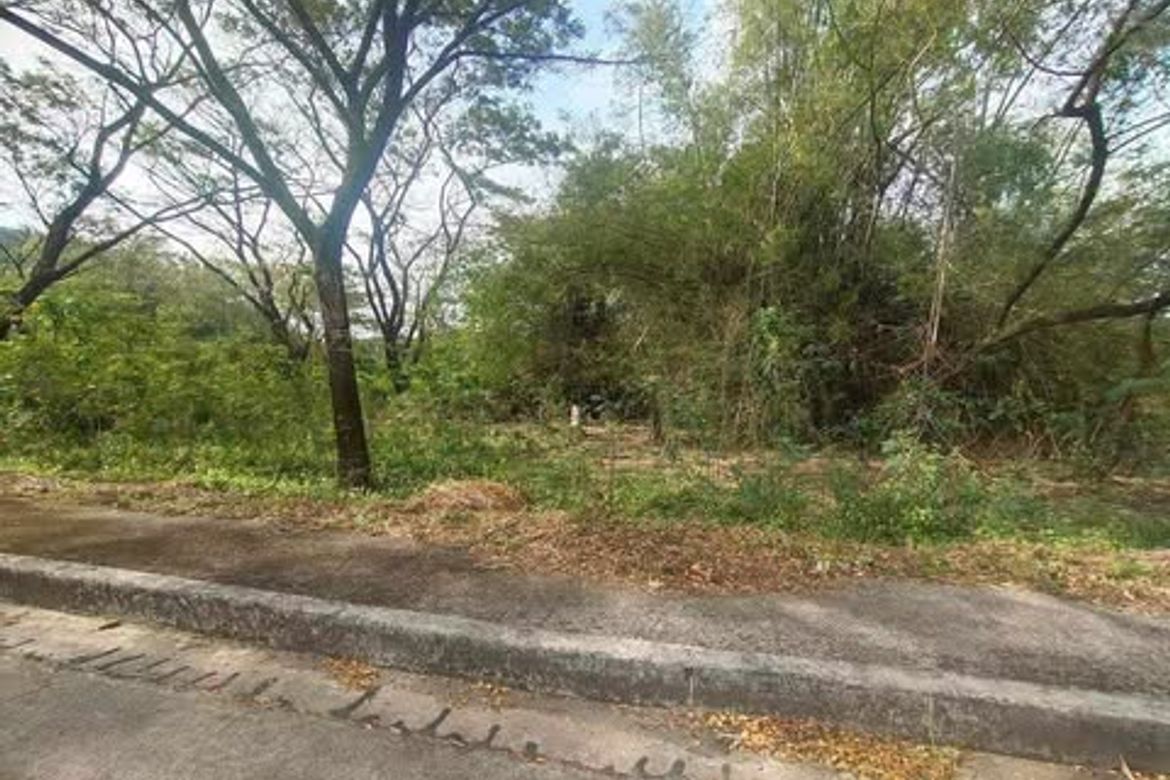 Land for Sale in Palo-Alto, Calamba, Laguna – photo 3