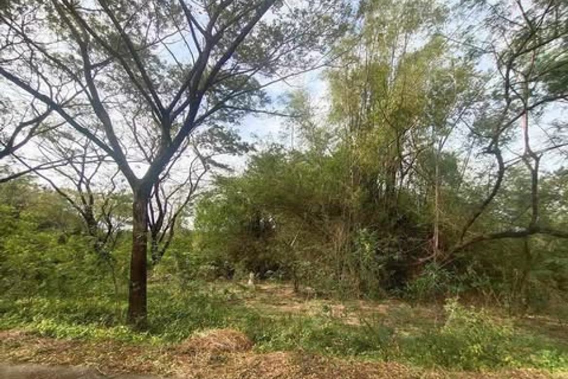 Land for Sale in Palo-Alto, Calamba, Laguna – photo 4