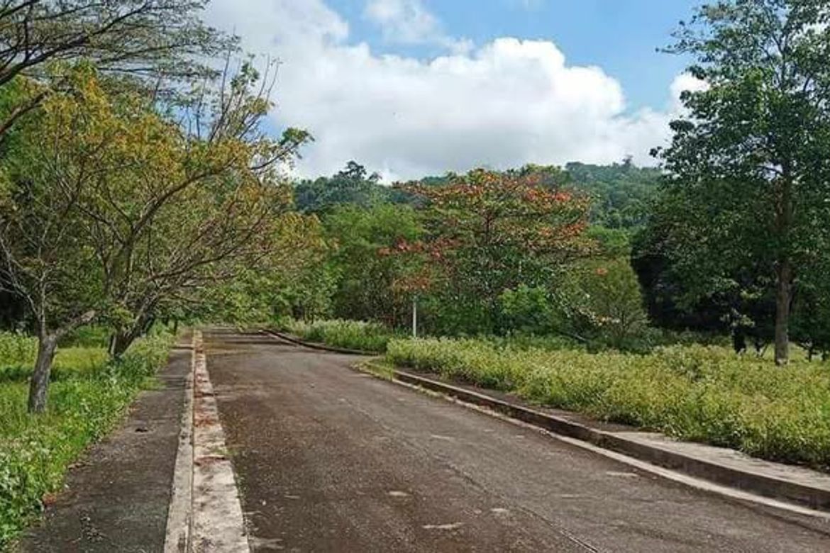 Land for Sale in Palo-Alto, Calamba, Laguna – photo 5