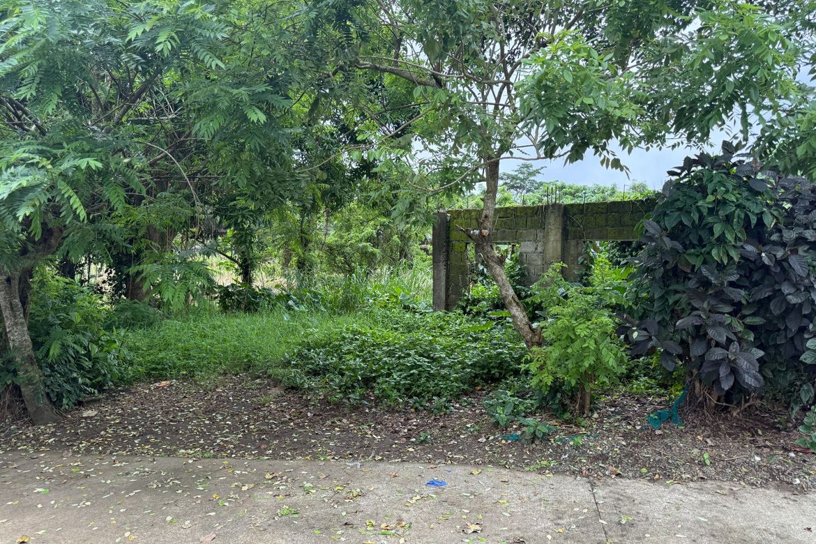 Land for Sale in Palocpoc II, Mendez, Cavite – photo 2