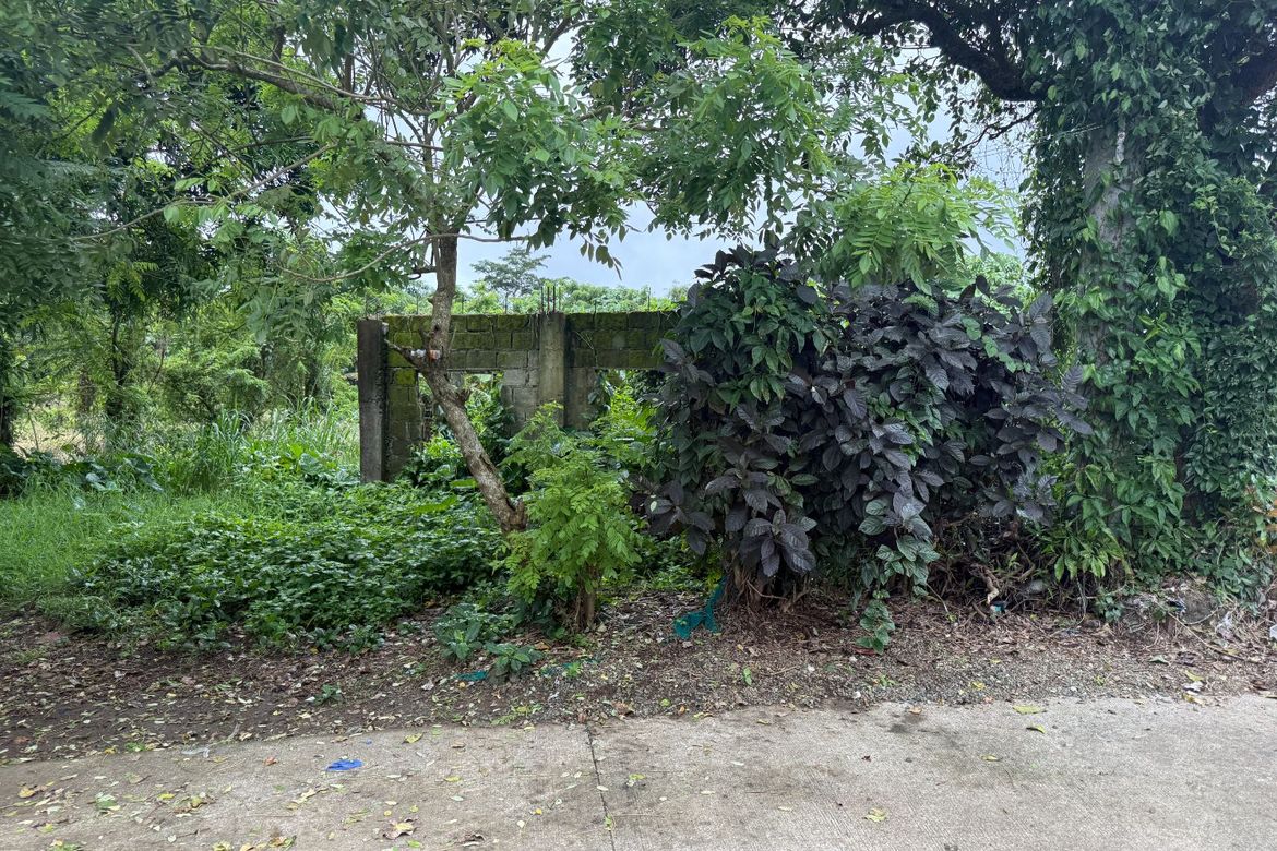 Land for Sale in Palocpoc II, Mendez, Cavite – photo 4