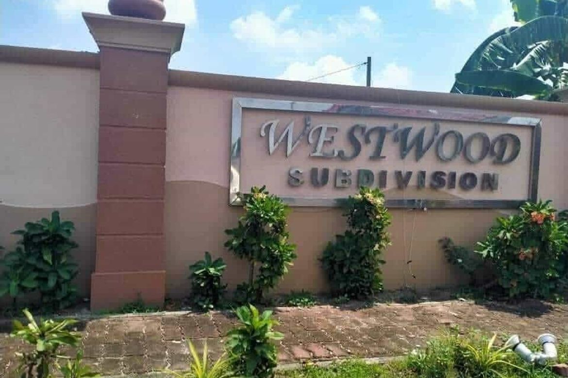 Land for Sale in Paludpud, La Paz, Tarlac – photo 2