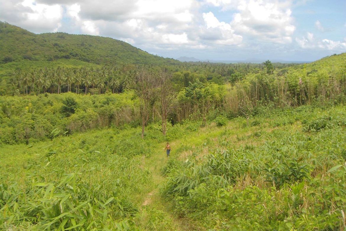 Land for Sale in Pamantolon, Taytay, Palawan – photo 7