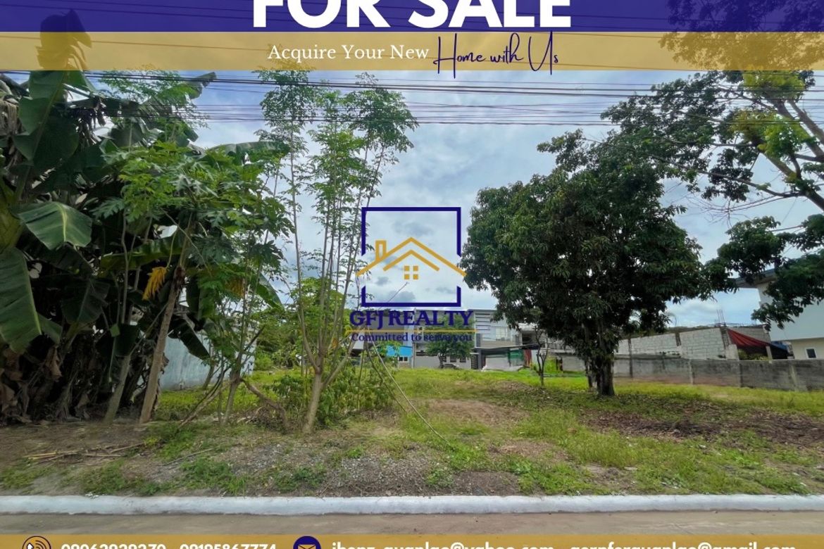 Land for Sale in Pampang, Angeles, Pampanga – photo 4