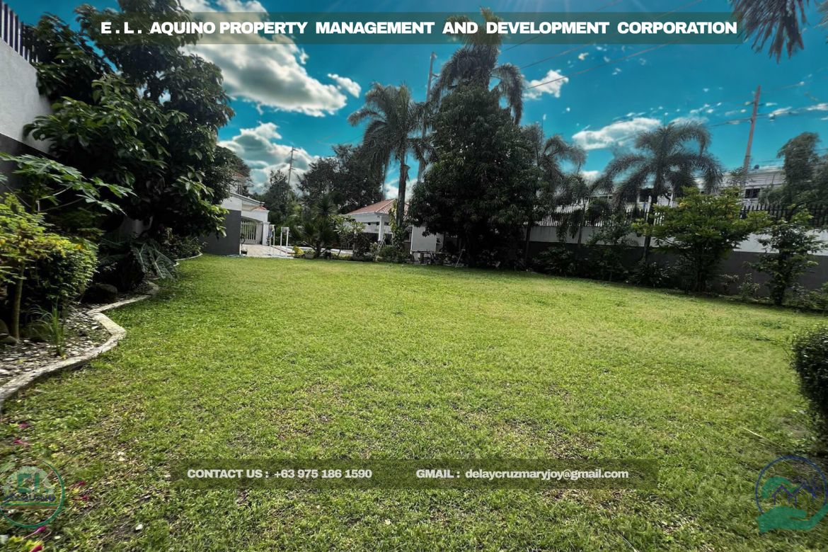 Land for Sale in Pampang, Angeles, Pampanga – photo 2