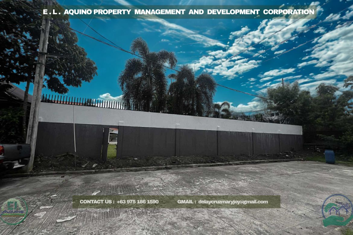 Land for Sale in Pampang, Angeles, Pampanga – photo 3