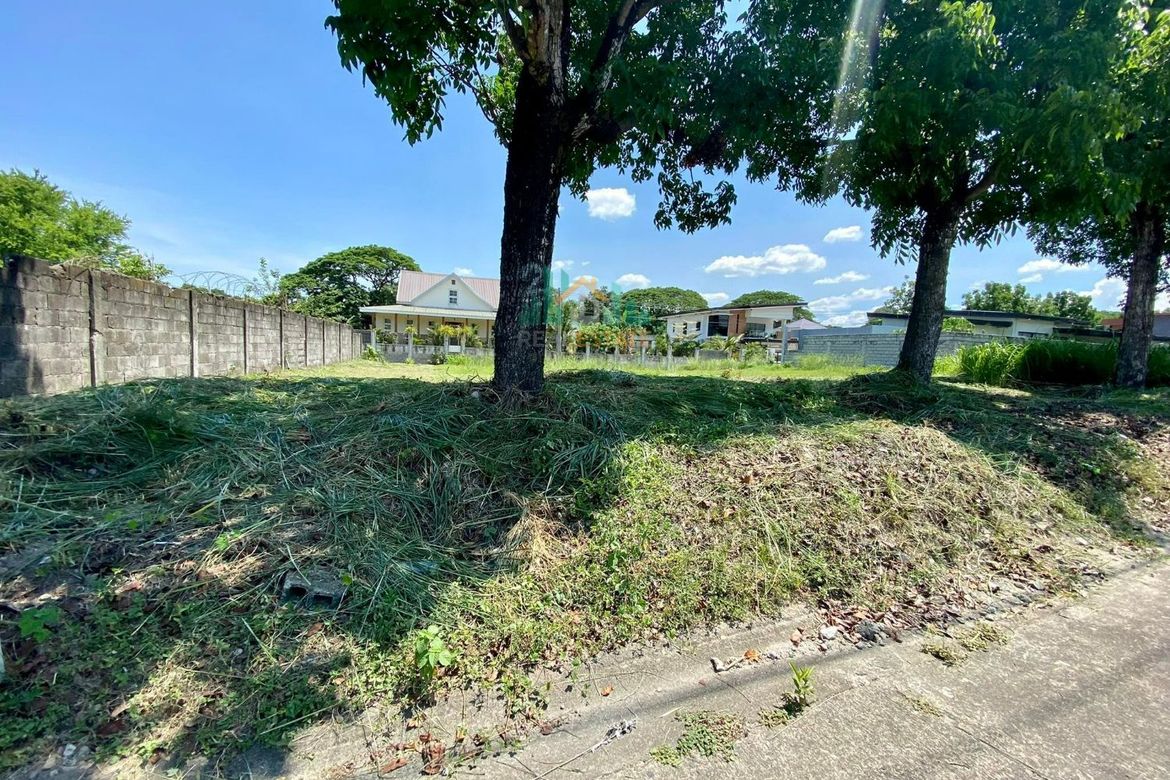 Land for Sale in Pampang, Angeles, Pampanga – photo 2