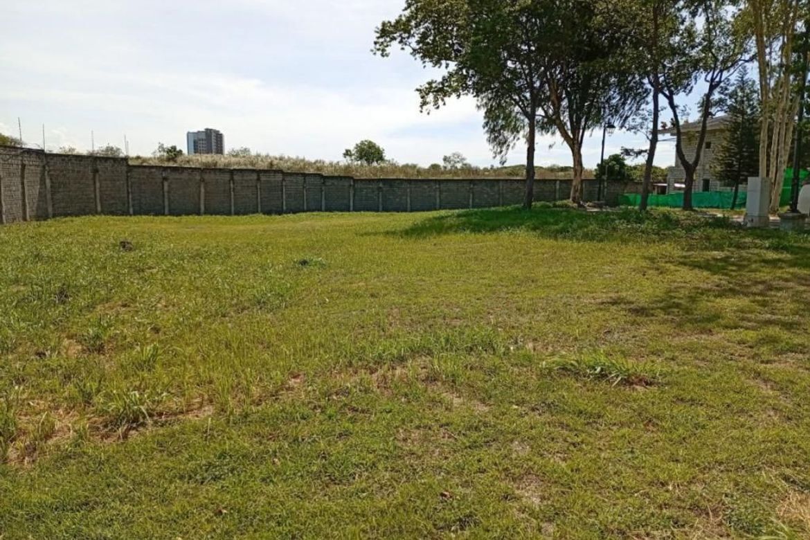 Land for Sale in Pamplona Dos, Las Piñas, Metro Manila – photo 7