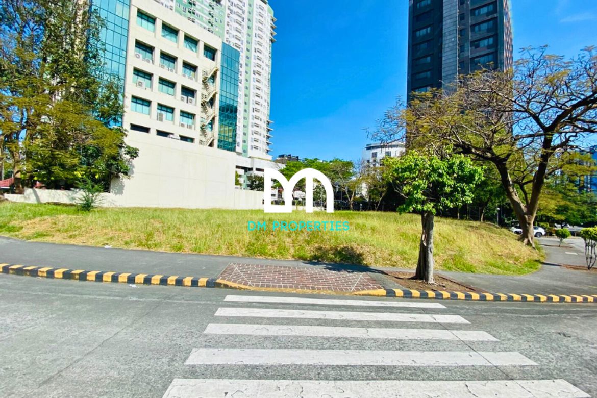 Land for Sale in Pamplona Tres, Las Piñas, Metro Manila