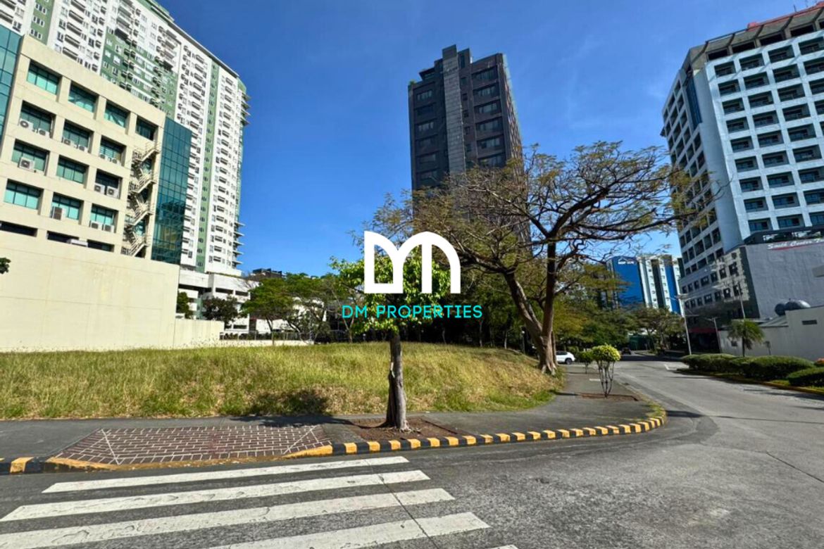 Land for Sale in Pamplona Tres, Las Piñas, Metro Manila – photo 3