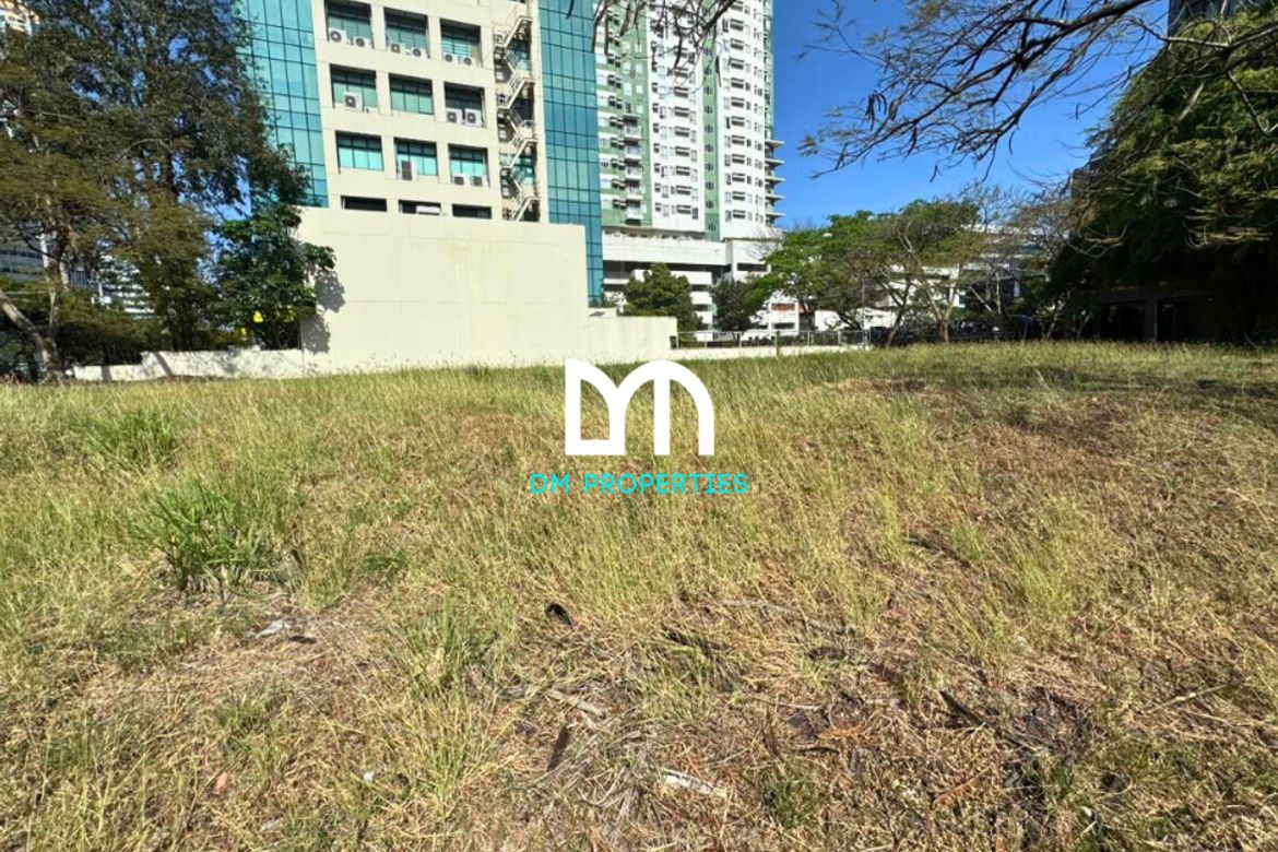 Land for Sale in Pamplona Tres, Las Piñas, Metro Manila – photo 4
