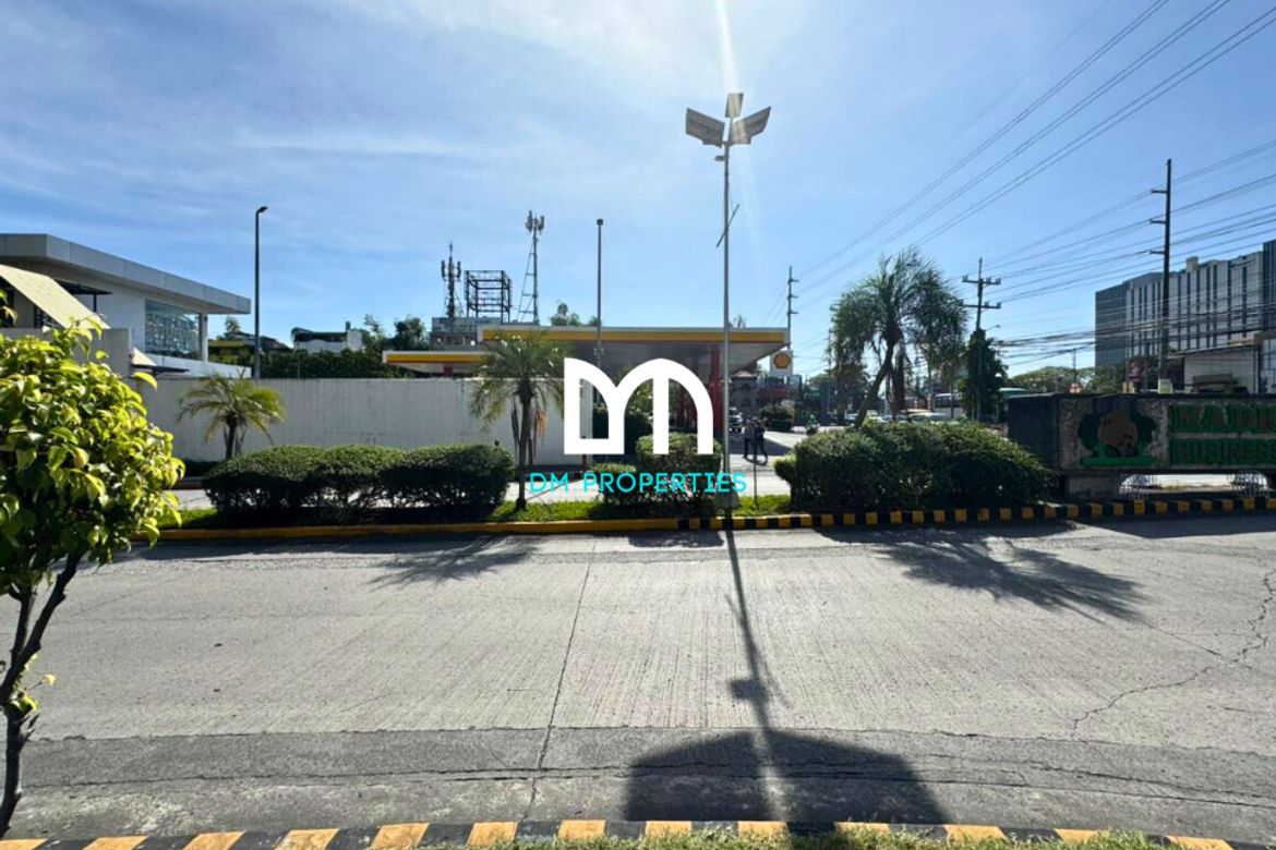 Land for Sale in Pamplona Tres, Las Piñas, Metro Manila – photo 5