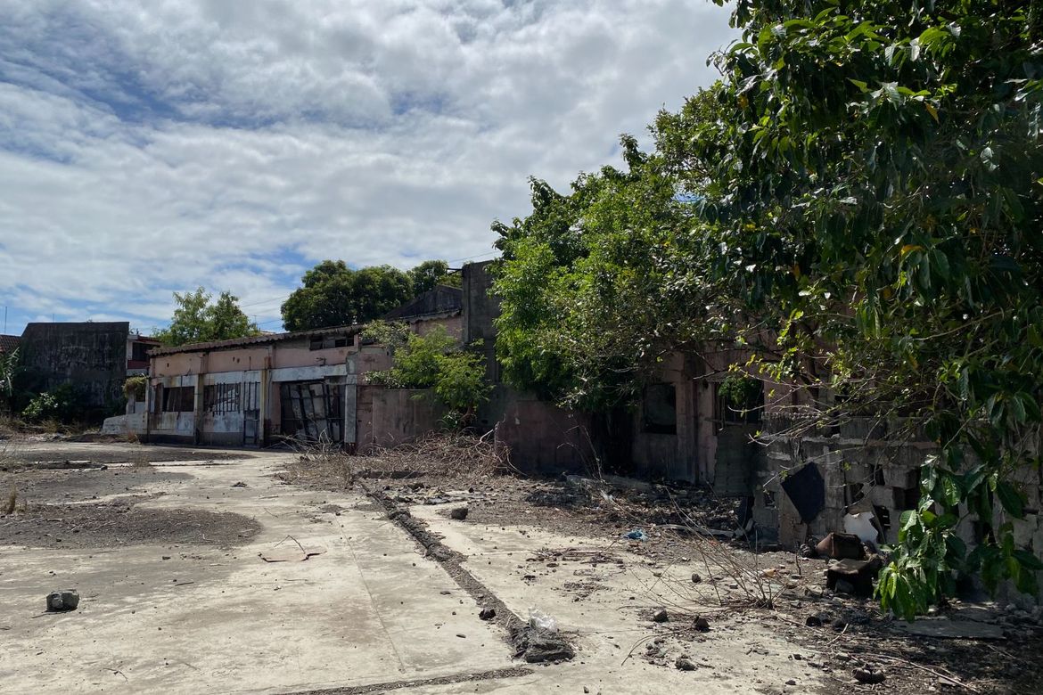 Land for Sale in Pamplona Tres, Las Piñas, Metro Manila – photo 5