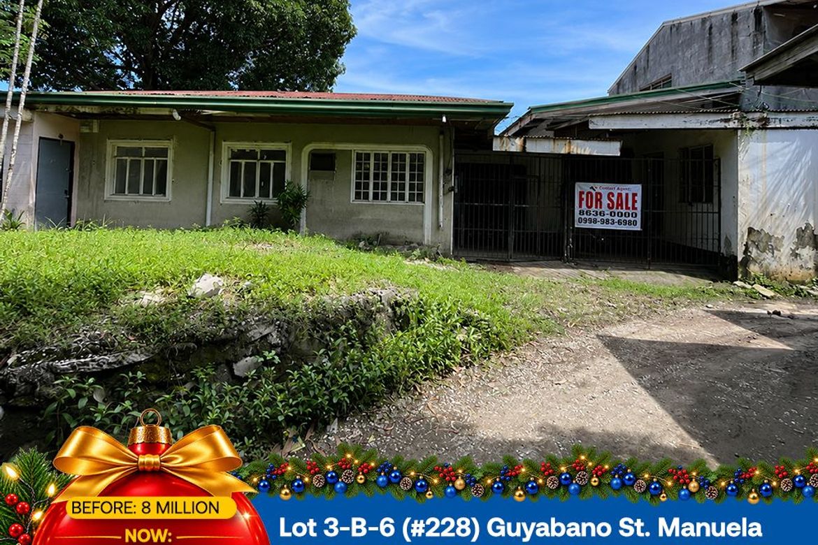 Land for Sale in Pamplona Tres, Las Piñas, Metro Manila