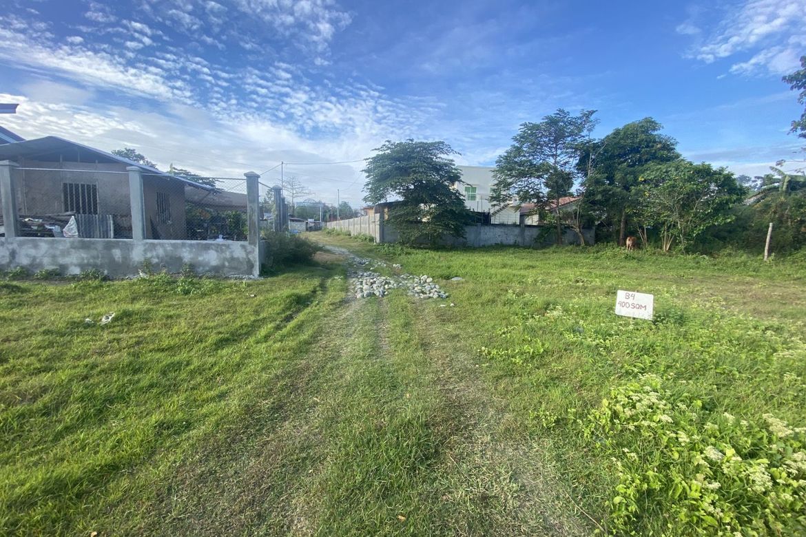 Land for Sale in Pamuringao Proper, Cabatuan, Iloilo – photo 4