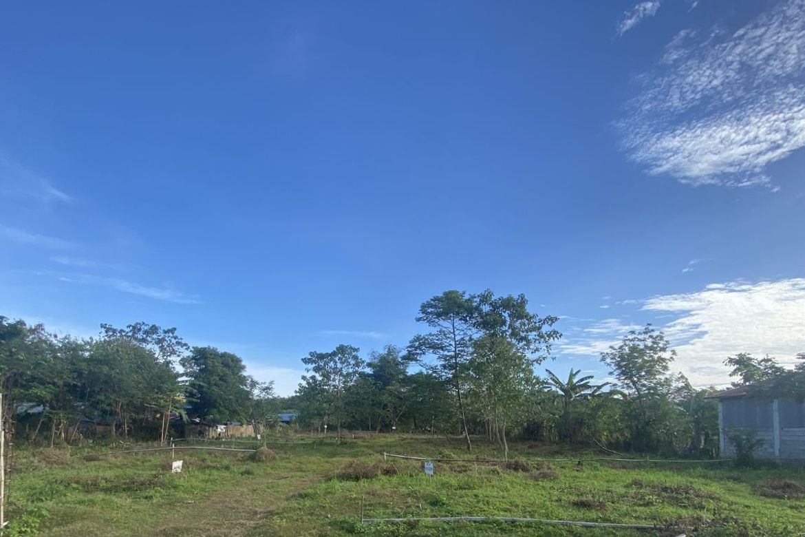 Land for Sale in Pamuringao Proper, Cabatuan, Iloilo – photo 7