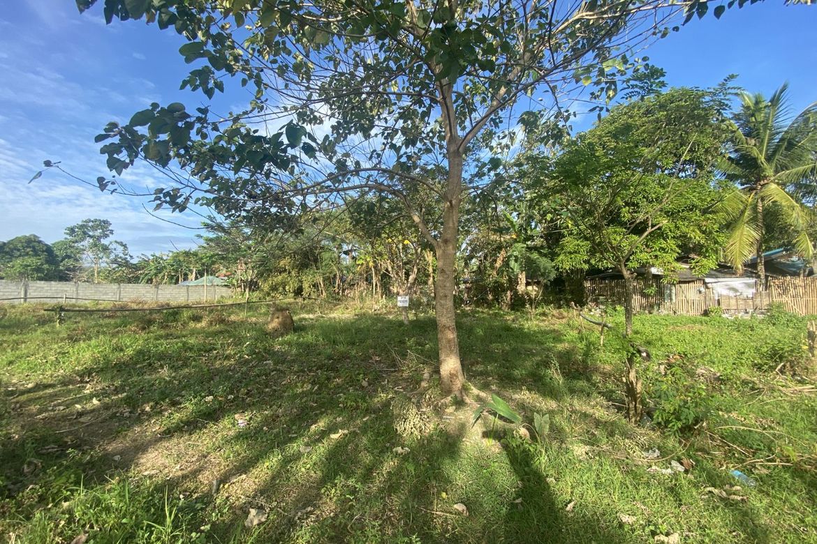 Land for Sale in Pamuringao Proper, Cabatuan, Iloilo – photo 4