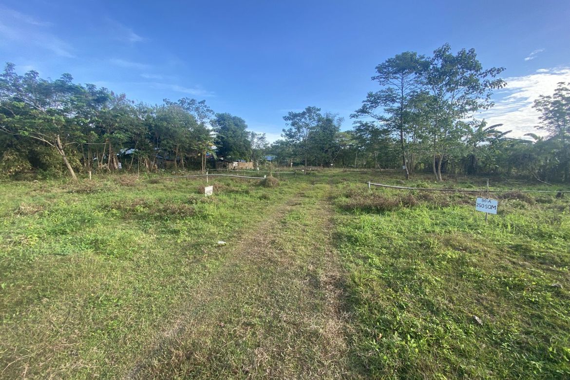 Land for Sale in Pamuringao Proper, Cabatuan, Iloilo – photo 7