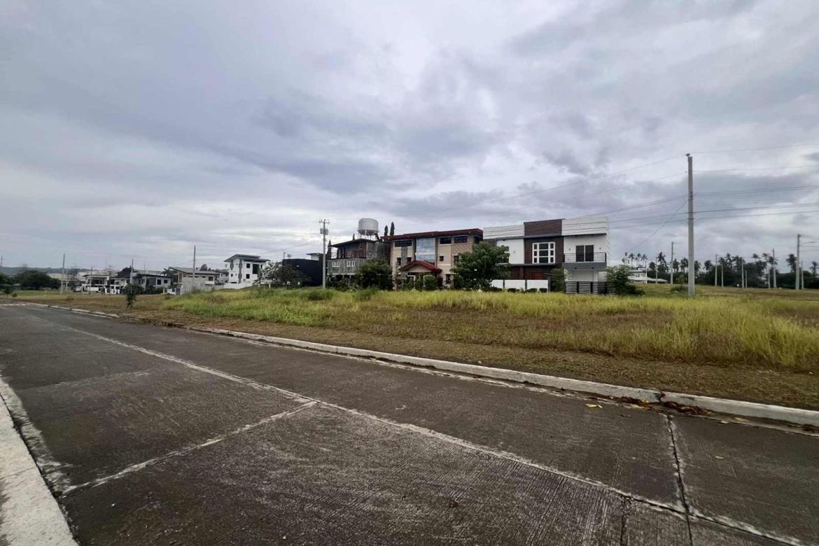 Land for Sale in Panacan, Davao City, Davao del Sur – photo 2