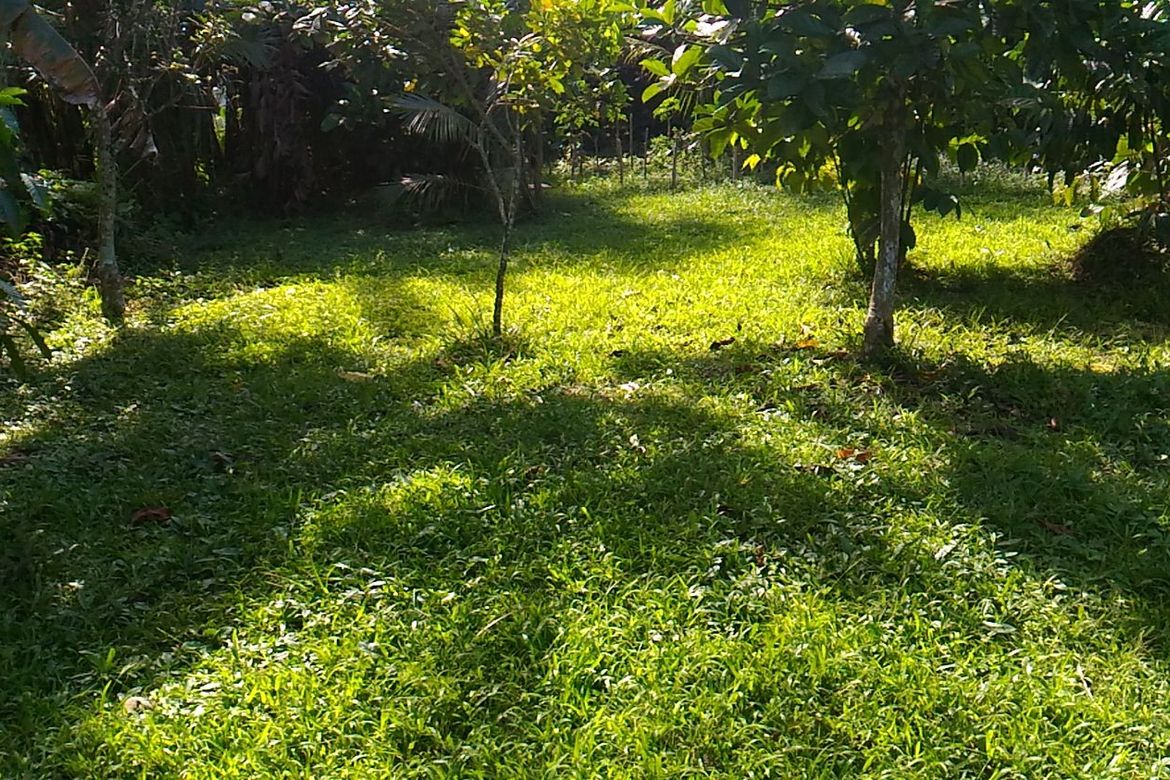 Land for Sale in Panaytayan, Ragay, Camarines Sur