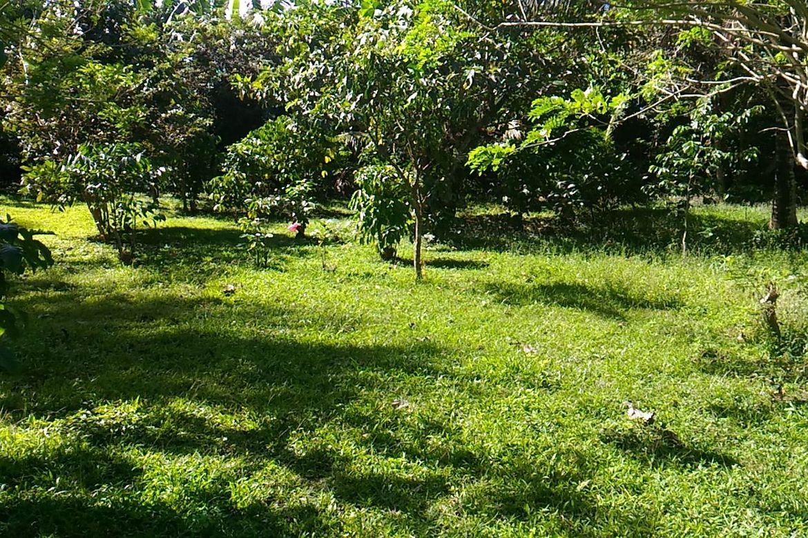Land for Sale in Panaytayan, Ragay, Camarines Sur – photo 3