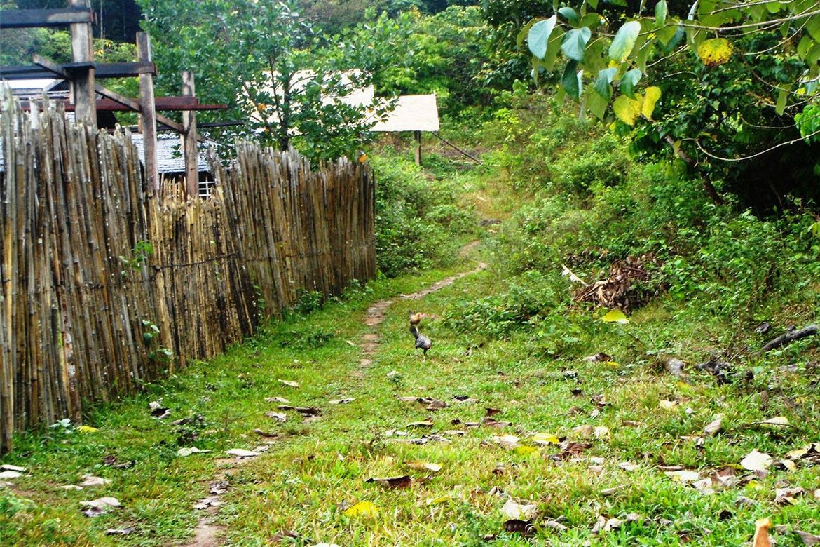 Land for Sale in Pancol, Taytay, Palawan – photo 6