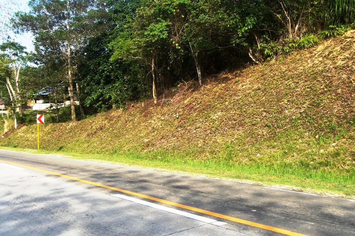 Land for Sale in Pancol, Taytay, Palawan – photo 8