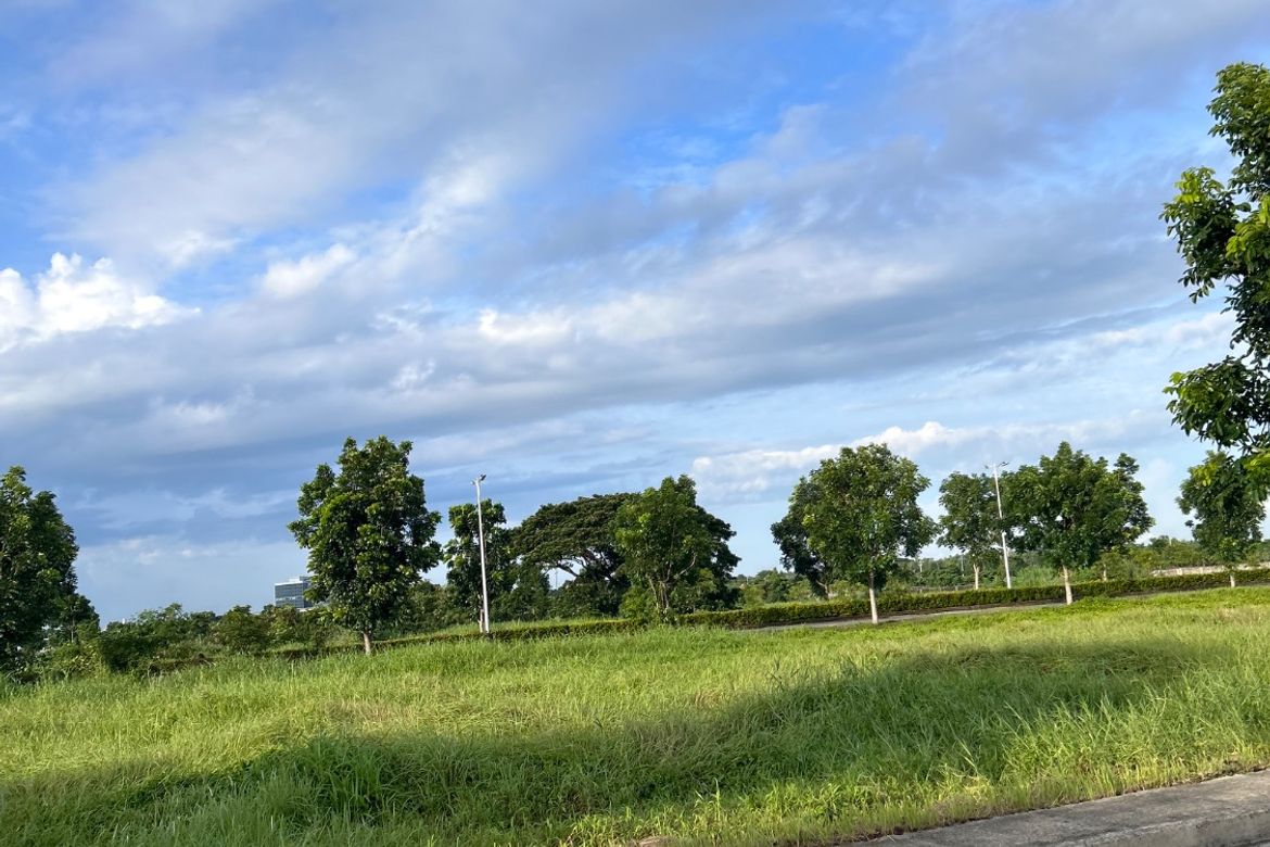 Land for Sale in Pandac, Pavia, Iloilo – photo 2