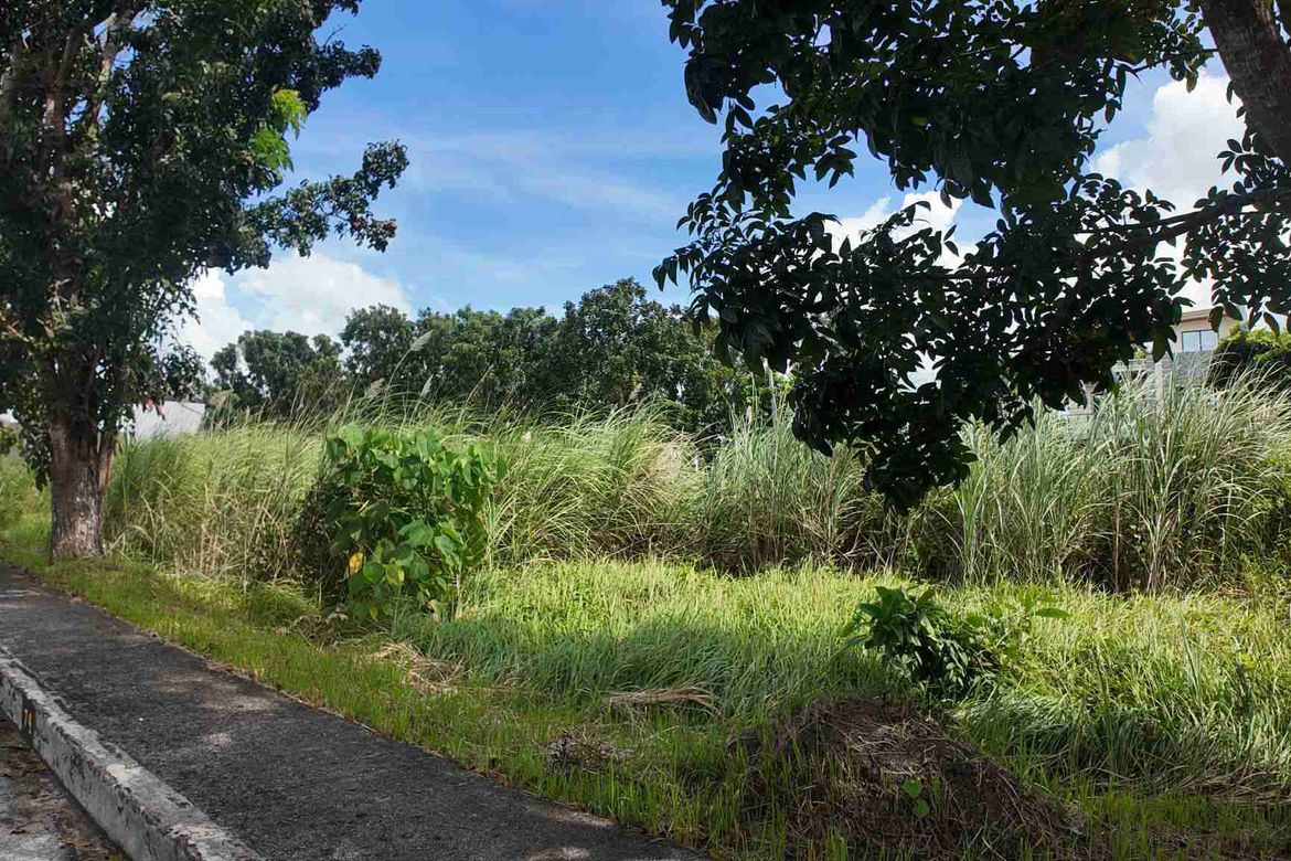 Land for Sale in Pandac, Pavia, Iloilo