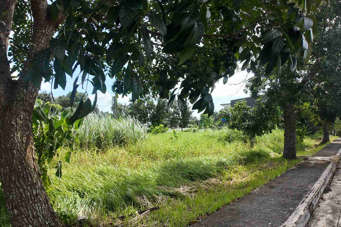Land for Sale in Pandac, Pavia, Iloilo – photo 2