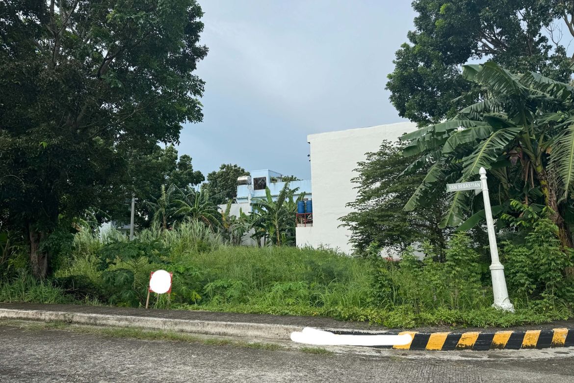 Land for Sale in Pandac, Pavia, Iloilo – photo 9