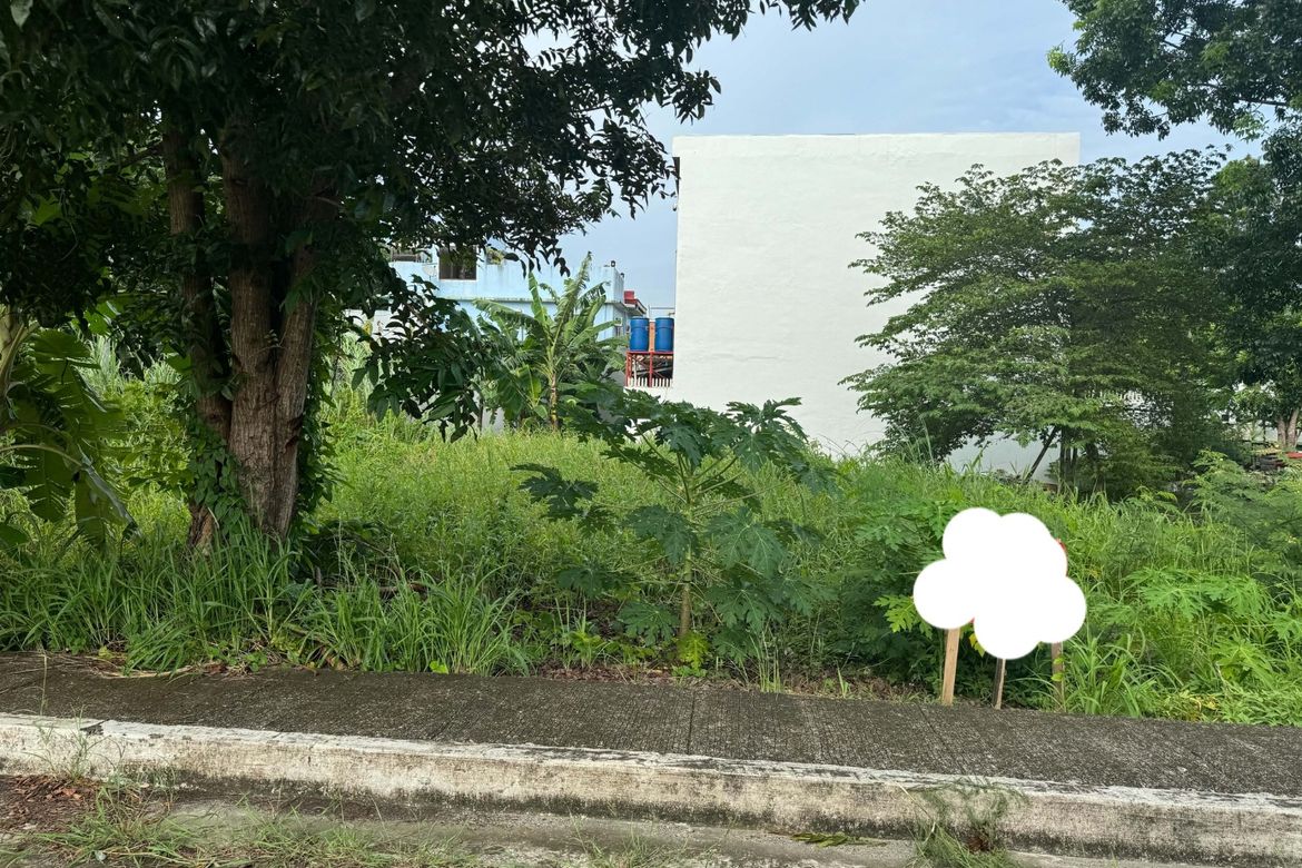 Land for Sale in Pandac, Pavia, Iloilo – photo 11
