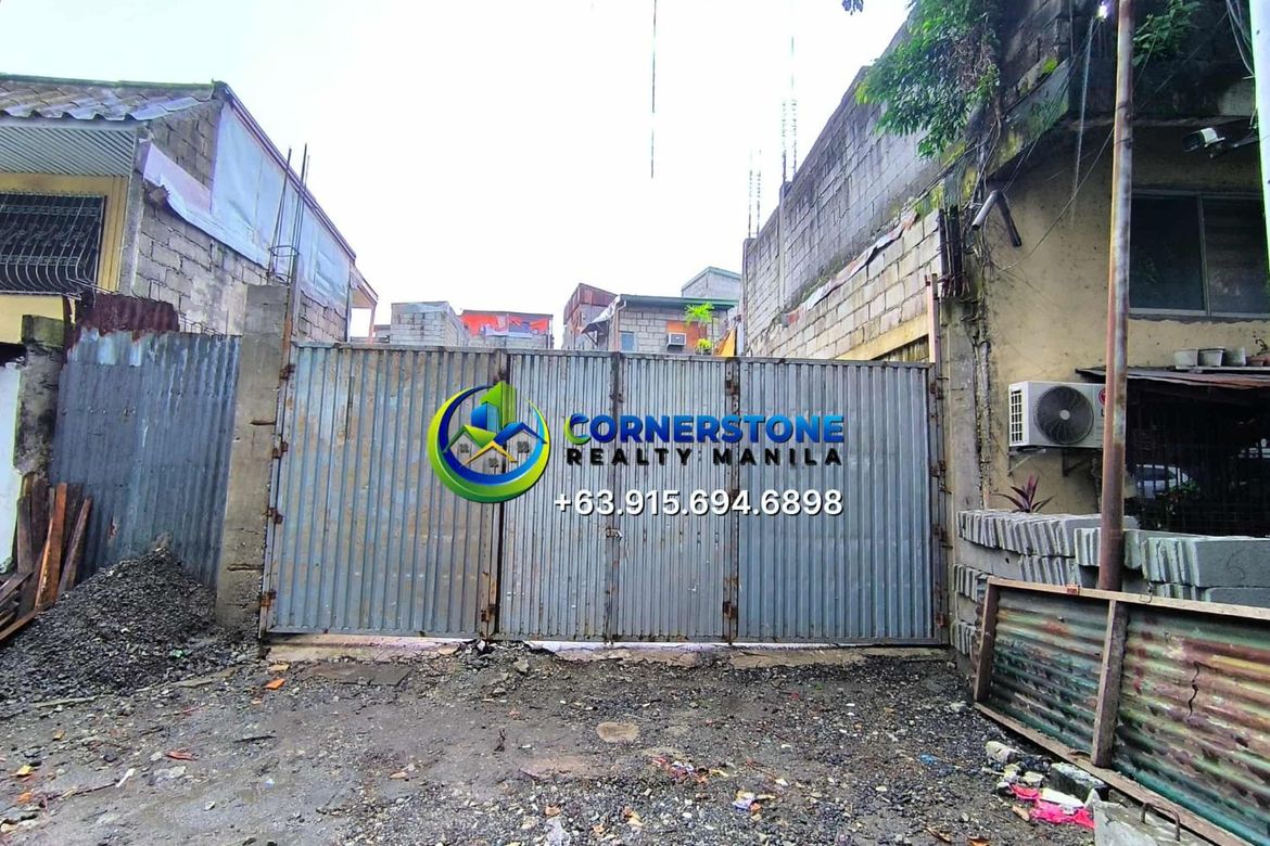 Land for Sale in Pandacan, Manila, Metro Manila – photo 3