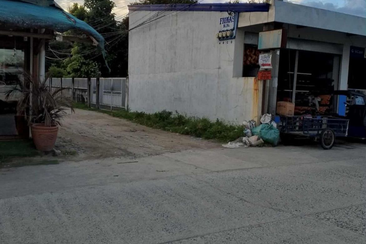 Land for Sale in Pandacaqui, Mexico, Pampanga – photo 2