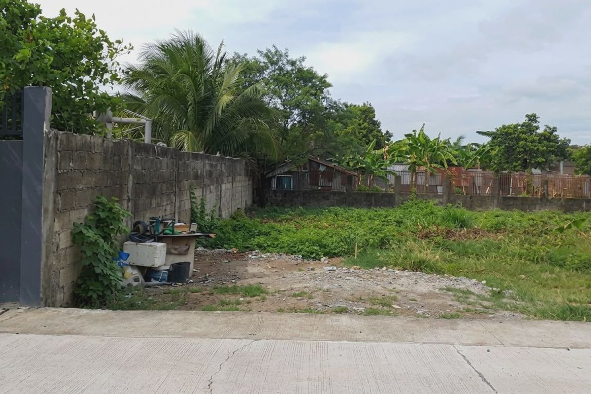 Land for Sale in Pandacaqui, Mexico, Pampanga – photo 3