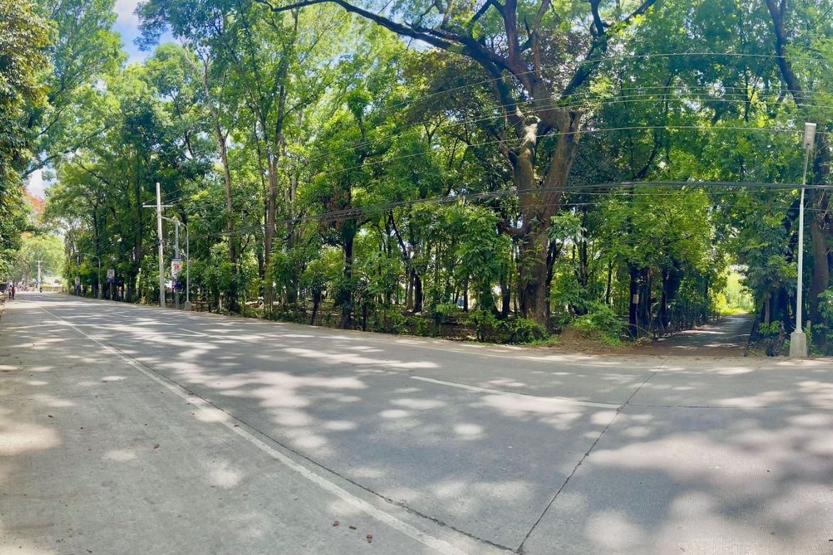 Land for Sale in Panganiban, Tayug, Pangasinan