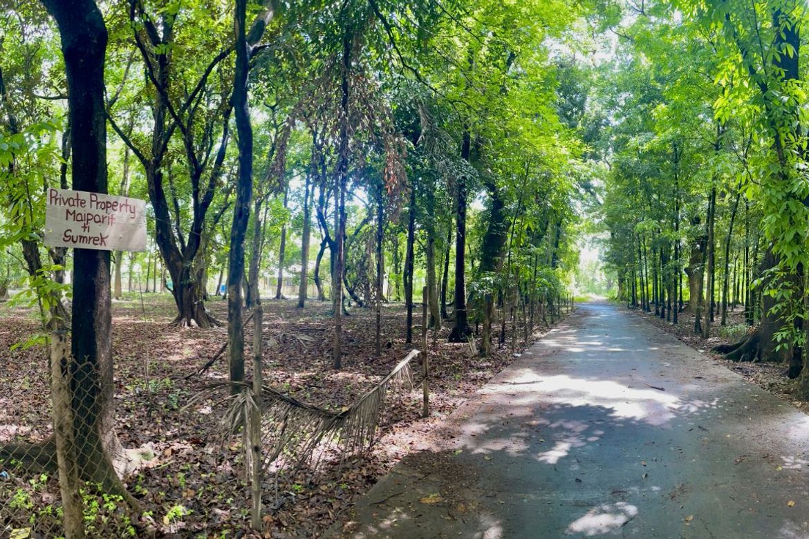 Land for Sale in Panganiban, Tayug, Pangasinan – photo 2