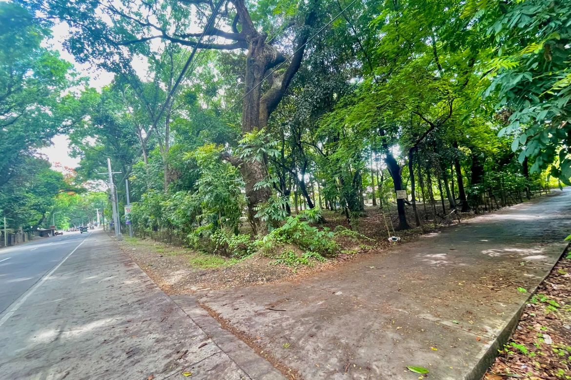 Land for Sale in Panganiban, Tayug, Pangasinan – photo 3