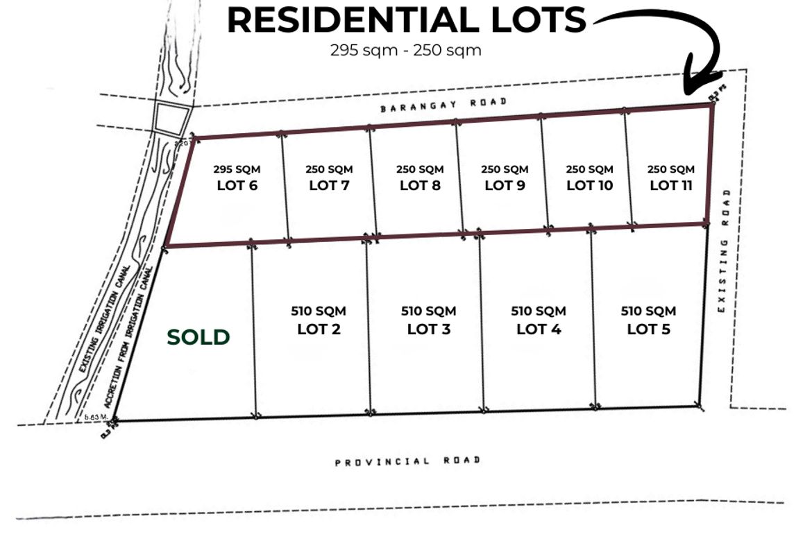 Land for Sale in Panganiban, Tayug, Pangasinan – photo 4