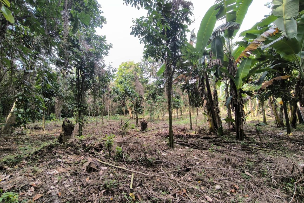 Land for Sale in Pangao, Lipa, Batangas – photo 2