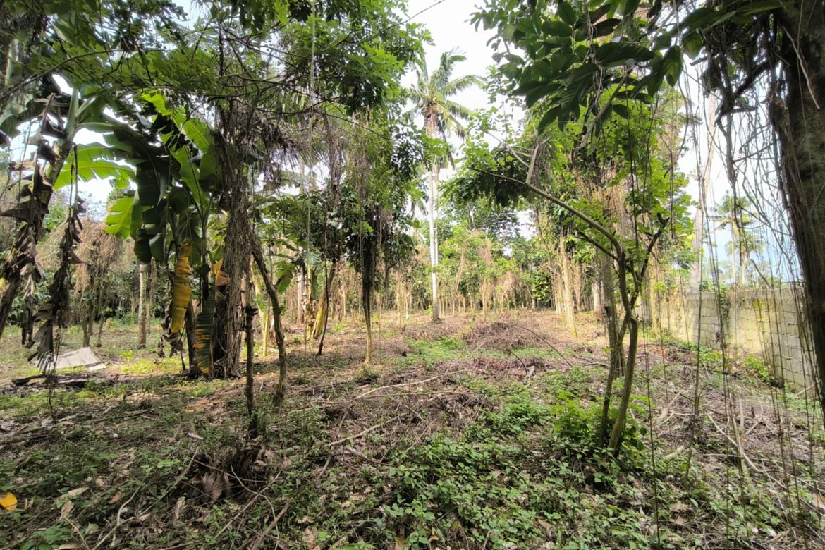 Land for Sale in Pangao, Lipa, Batangas – photo 3