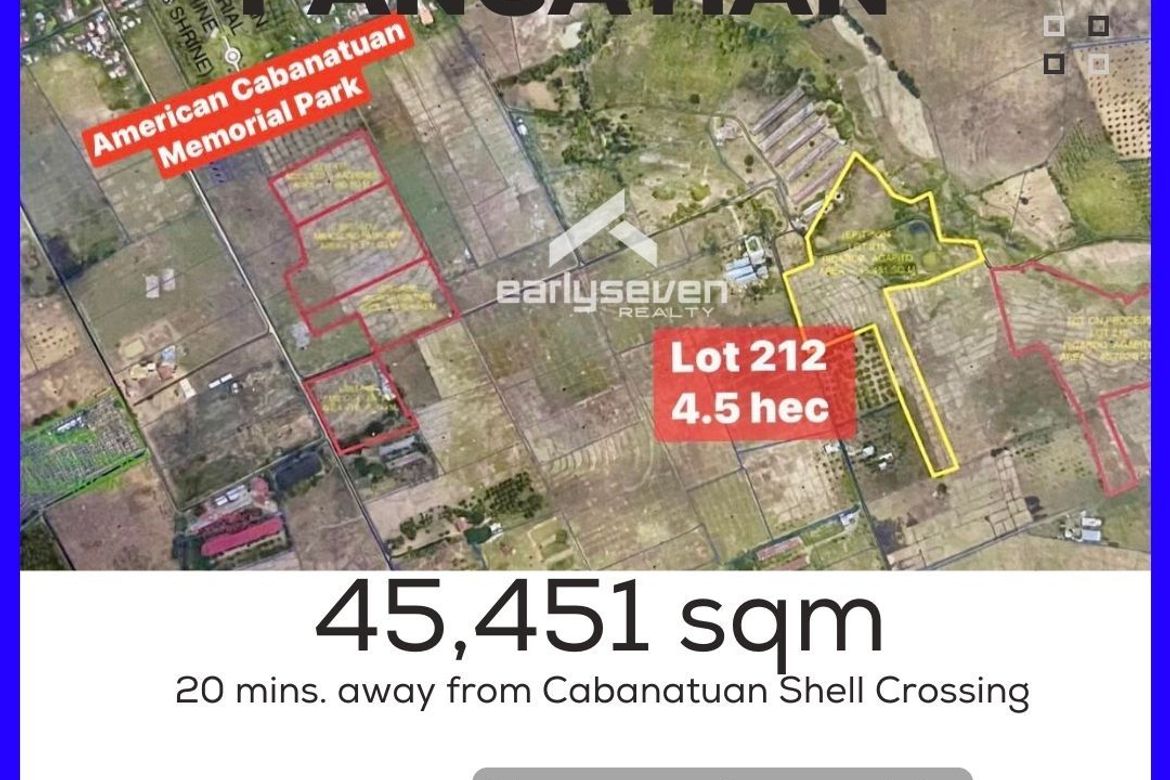 Land for Sale in Pangatian, Cabanatuan, Nueva Ecija