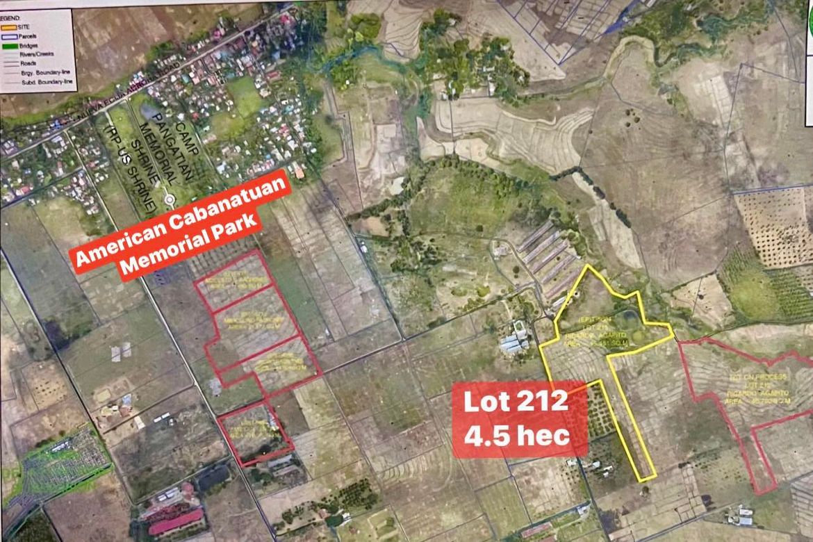 Land for Sale in Pangatian, Cabanatuan, Nueva Ecija – photo 3