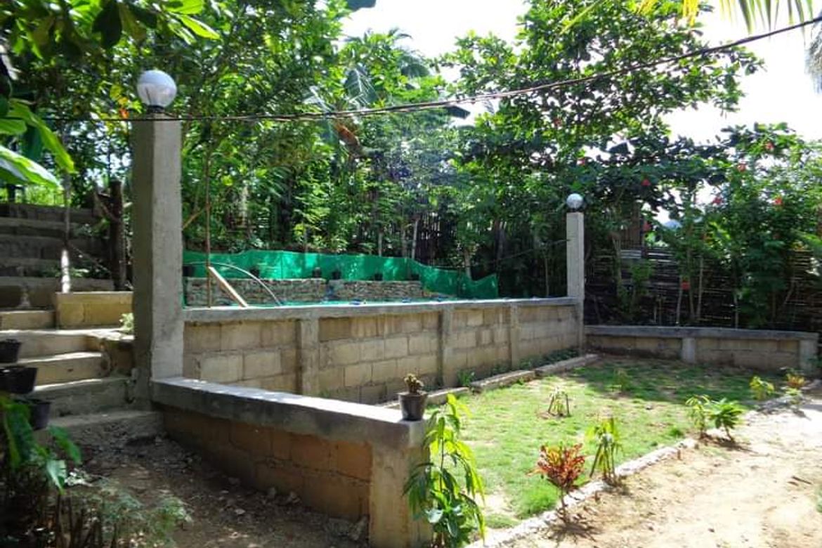 Land for Sale in Pangdan, Naga, Cebu – photo 2