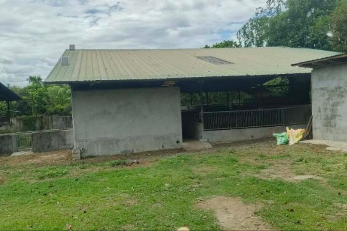 Land for Sale in Panghayaan, Ibaan, Batangas – photo 6